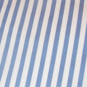 2010 Stripes Blue - white