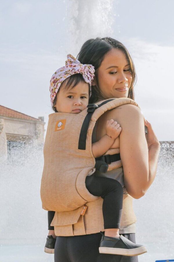 Mesa baby hot sale carrier