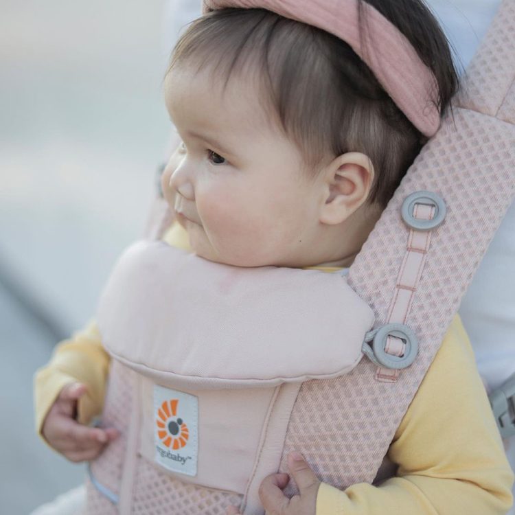 Ergobaby quartz best sale