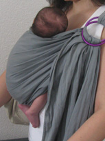 A baby upright in a carrier
