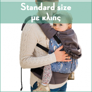 Fixed-size carrier with buckles